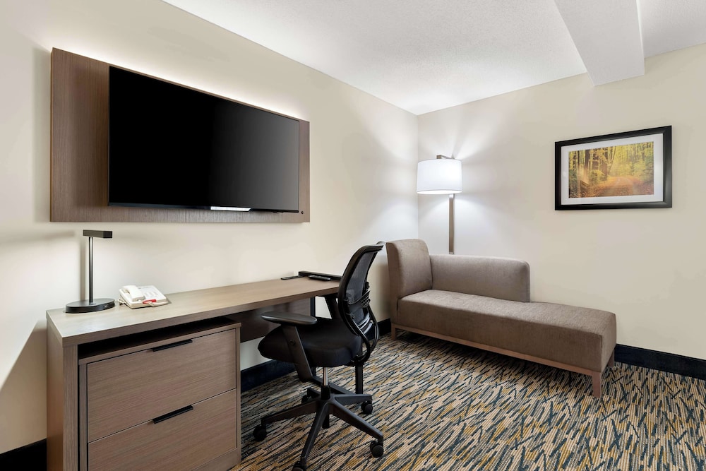 Standard Room, 1 King Bed, Non Smoking, Refrigerator & Microwave (Larger Room) photo 2