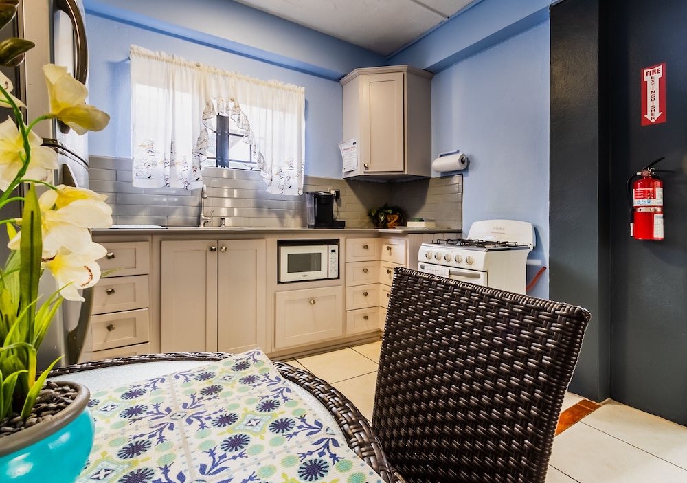 Deluxe Studio Suite, Kitchen photo 2