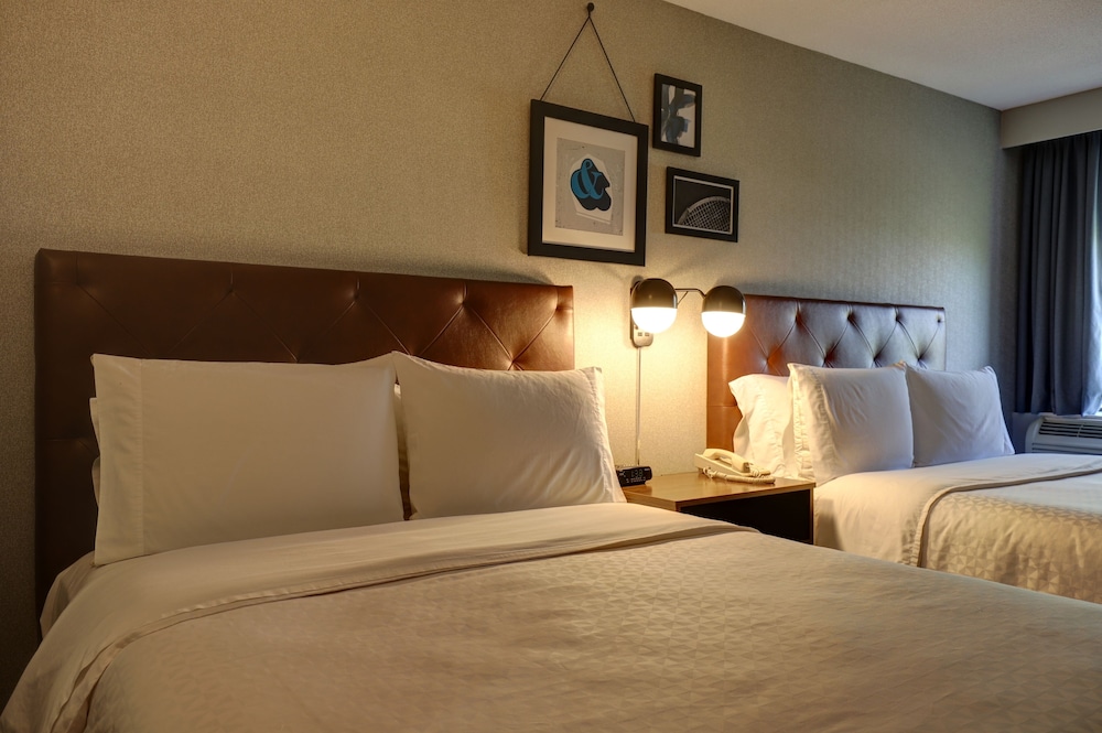 Suite, 1 Bedroom - Photo 2