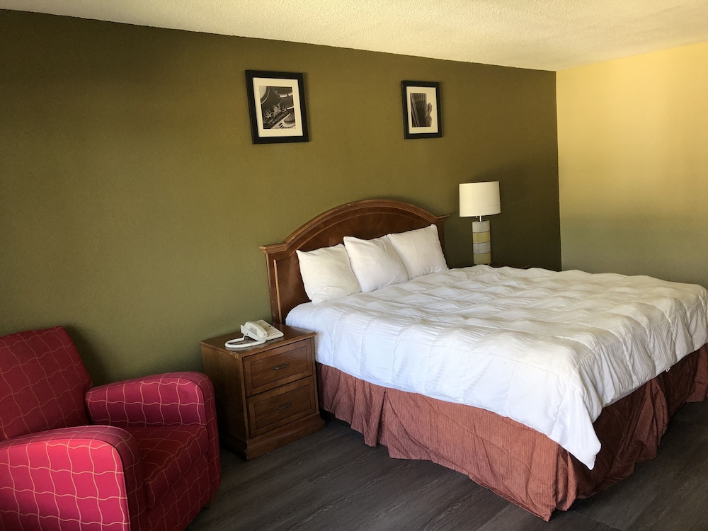 Room, 1 King Bed, Non Smoking photo 3
