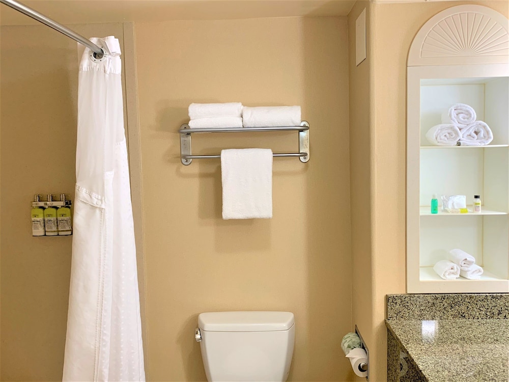 Suite, 1 King Bed, Accessible (Communications) - Photo 8