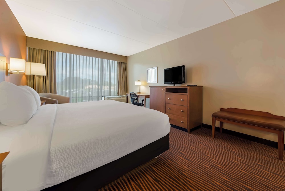 Suite, 1 King Bed, Non Smoking, Refrigerator & Microwave (with Sofabed) - Photo 1