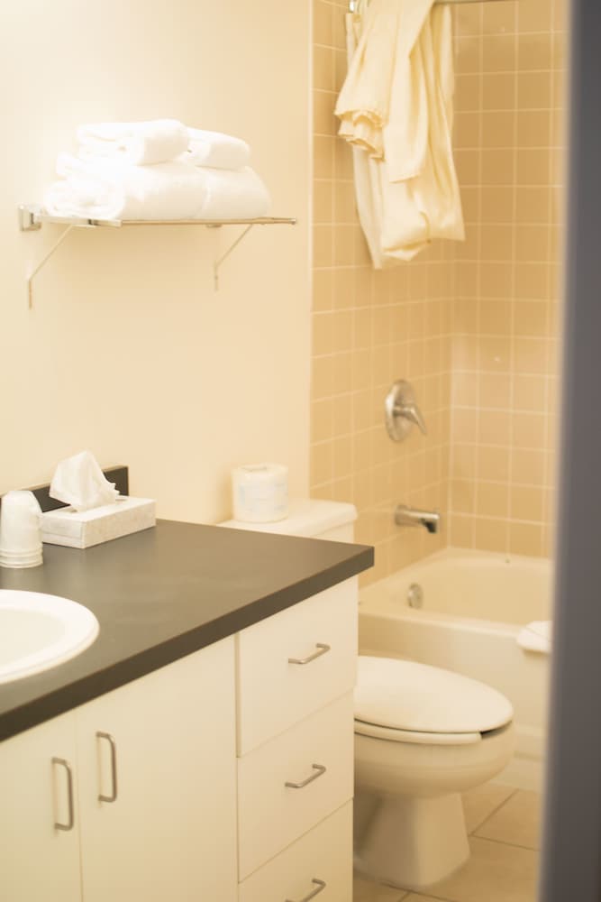 Traditional Suite, Kitchen - Photo 5