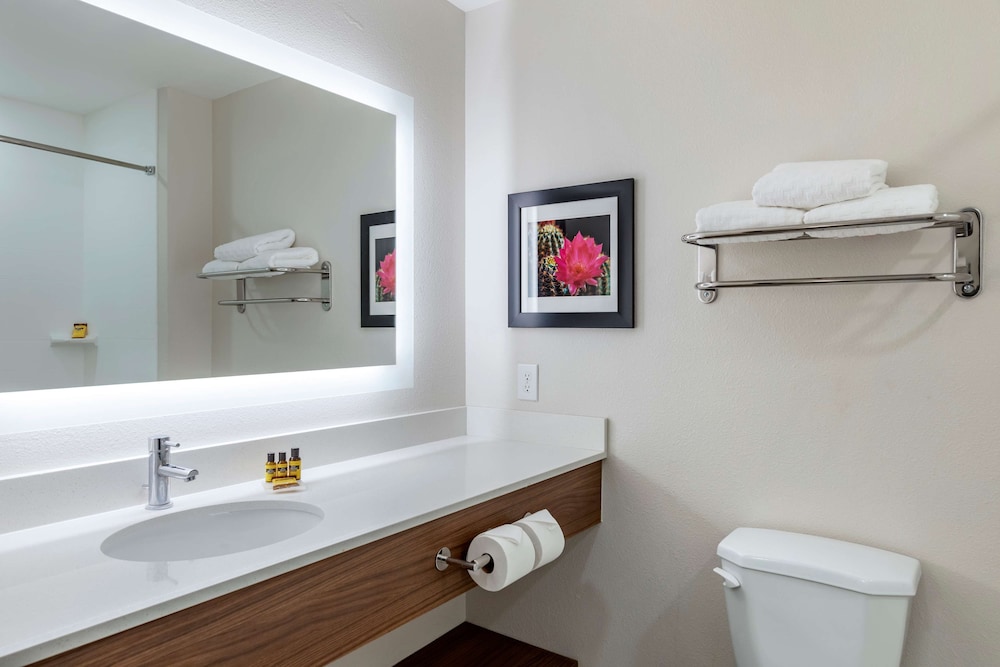 Suite, 1 King Bed, Accessible, Refrigerator & Microwave (with Sofabed) - Photo 4