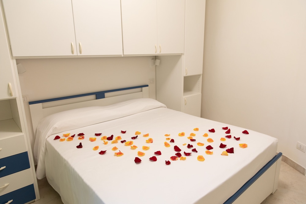 Standard Apartment Anemone