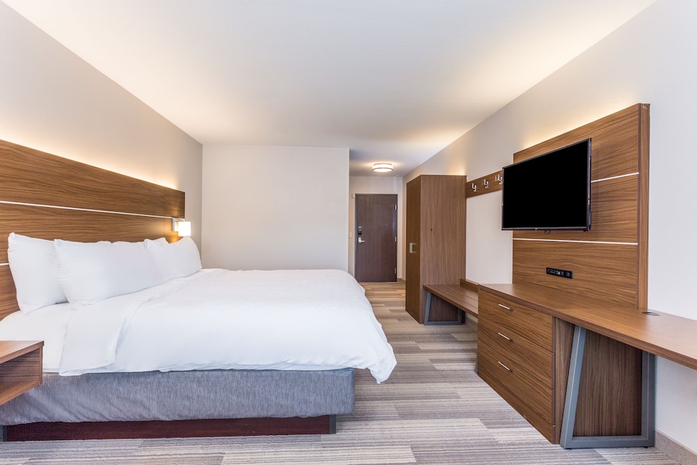 Suite, 1 King Bed (Walk-In Shower)