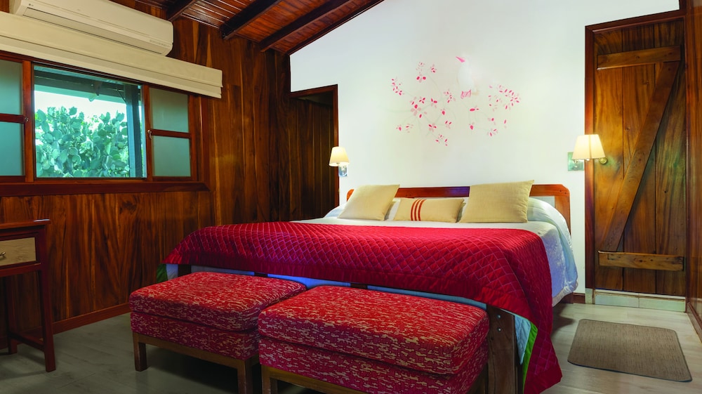 Deluxe Room photo 1