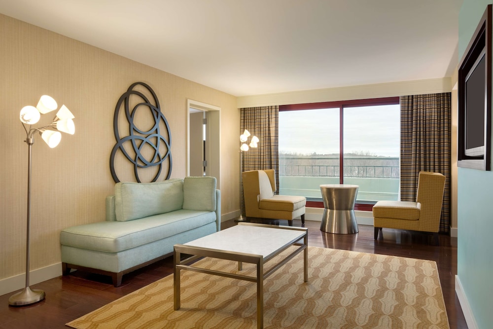 Premium Suite, 1 King Bed, Accessible, Non Smoking (Roll-in Shower) - Photo 4