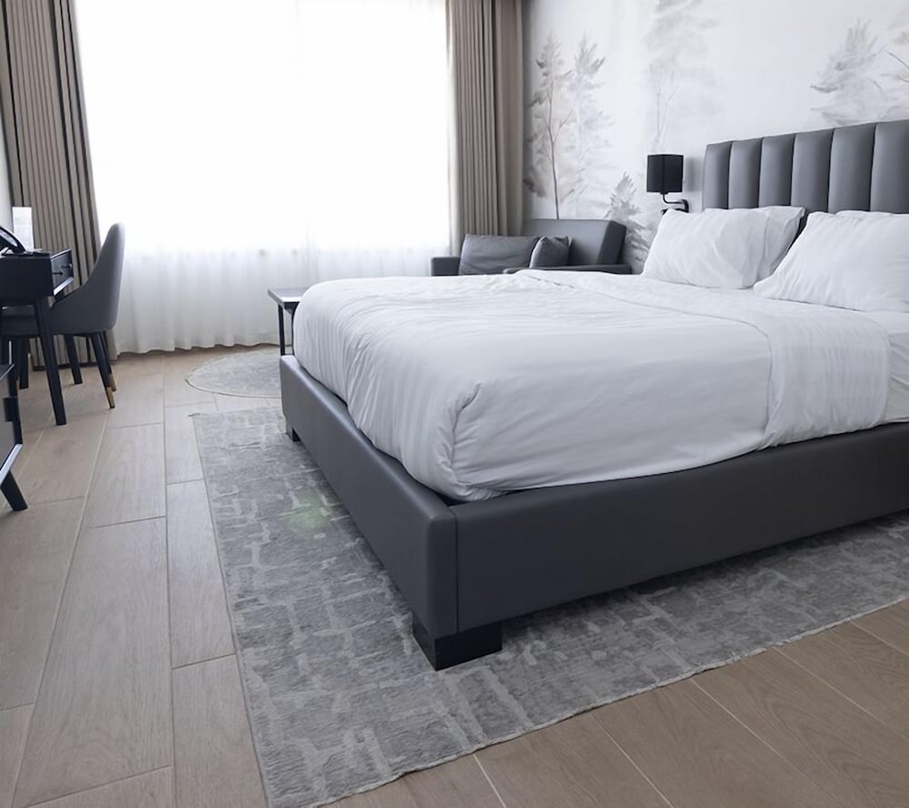 Standard Room, 1 King Bed with Sofa bed photo 3