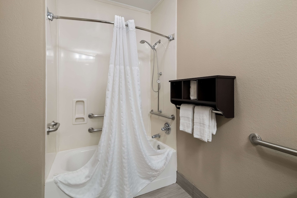 Standard Room, 1 King Bed, Accessible, Refrigerator & Microwave (with Sofabed) photo 2