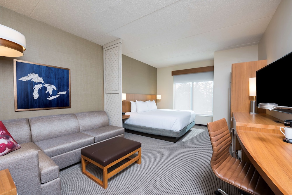 Room, 1 King Bed with Sofa bed, Accessible (With Shower) photo 1
