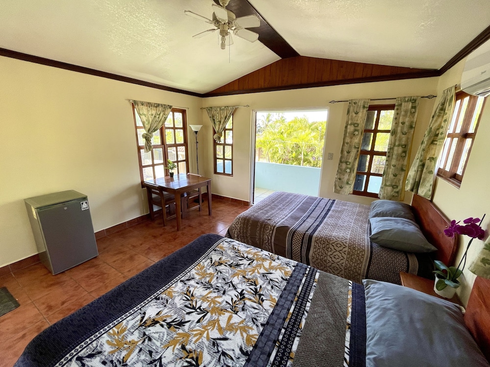 Deluxe Studio Suite photo 2