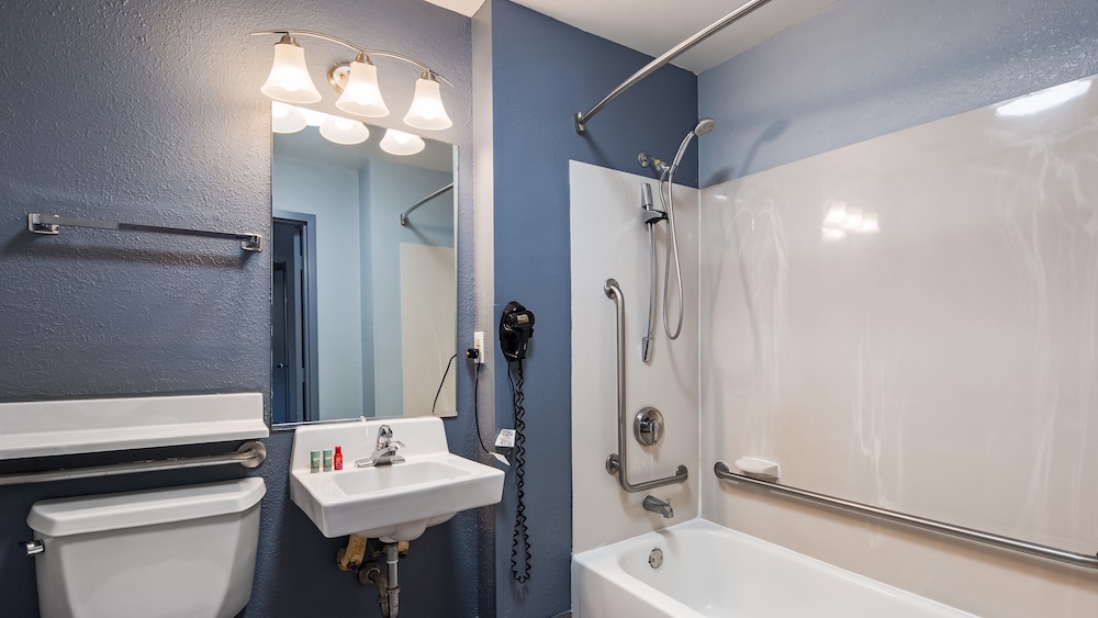 Standard Room, 1 King Bed, Accessible, Refrigerator & Microwave - Photo 12