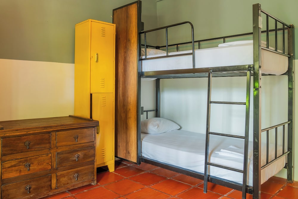 Bed in 6-Bed Female Dormitory Room photo 1