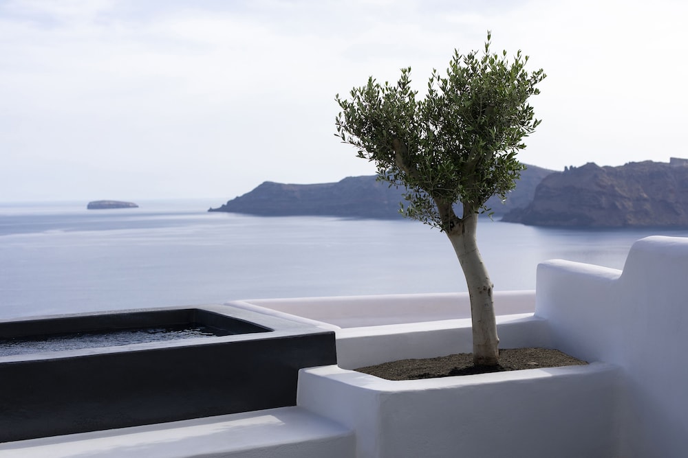 Honeymoon Suite - Photo 6