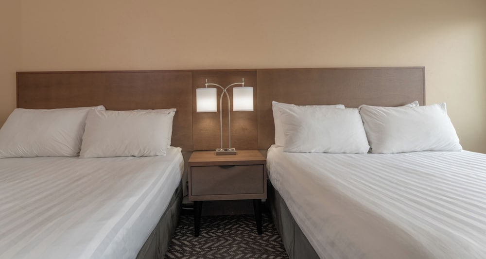 Standard Room, 2 Queen Beds, Pets Allowed - Photo 2