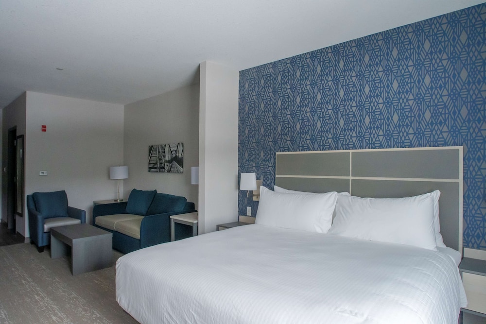 Standard Room, 1 King Bed, Non Smoking, Refrigerator & Microwave (with Sofabed) - Photo 2