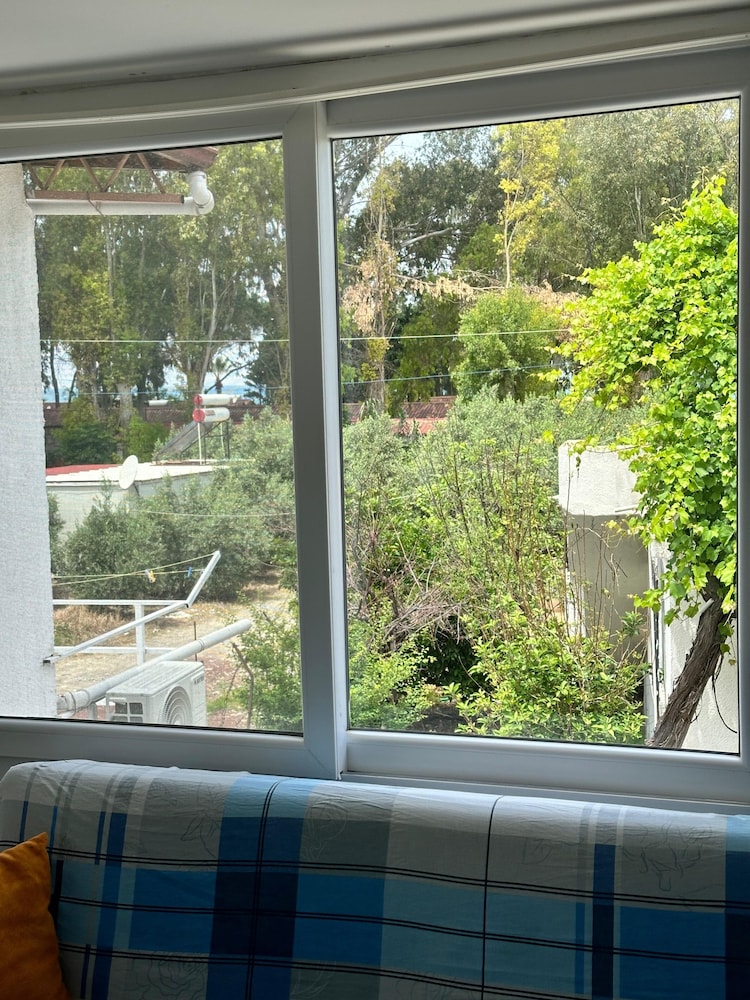 Apartment, 1 Bedroom photo 2