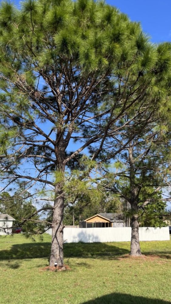 Brand New Spacious 3 Bedroom Home, Billede 15