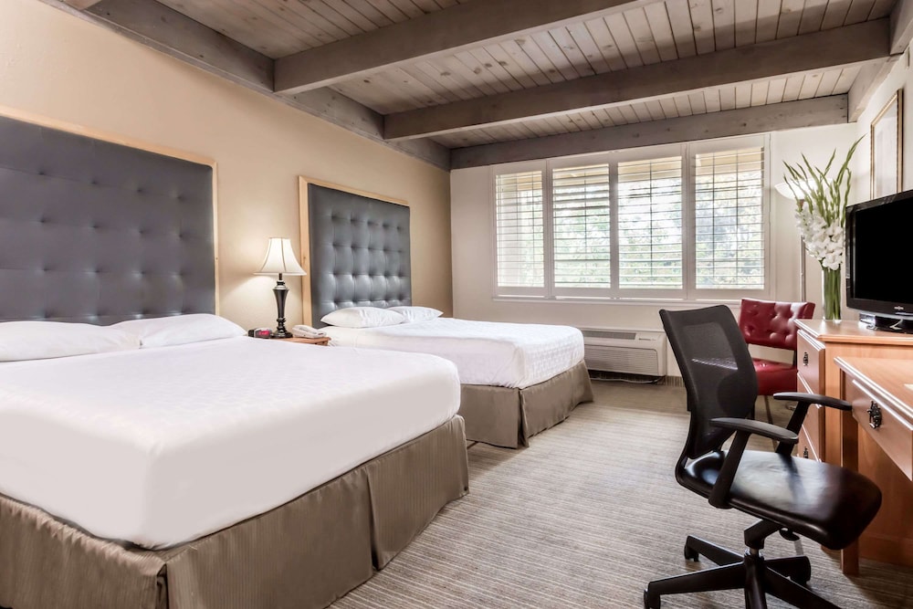 Standard Room, 2 Queen Beds - Photo 1