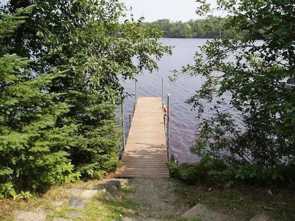 Cedar photo 3