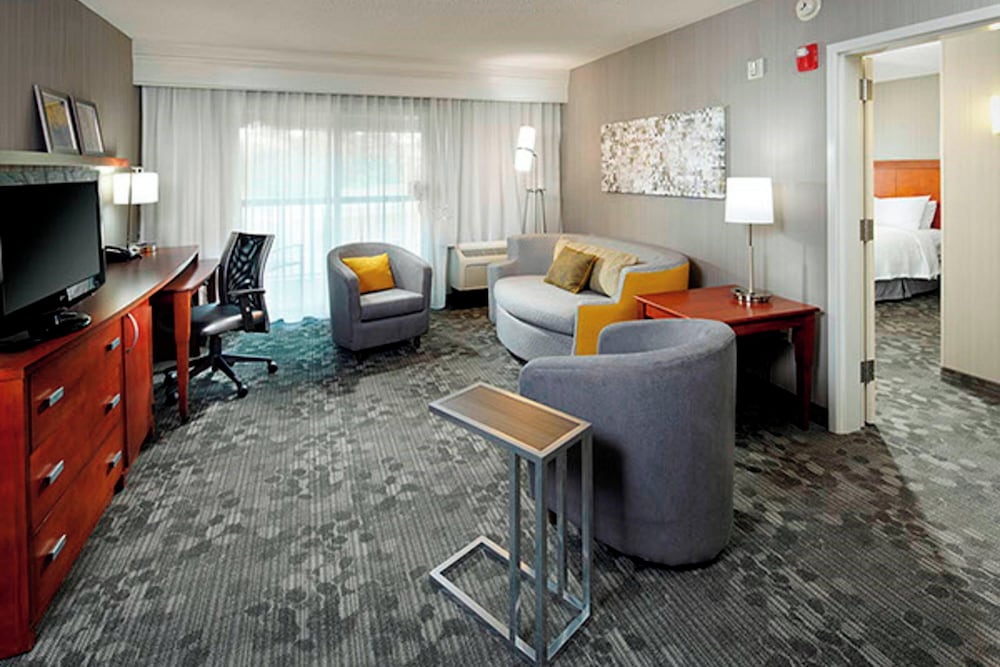 Suite, 1 King Bed with Sofa bed