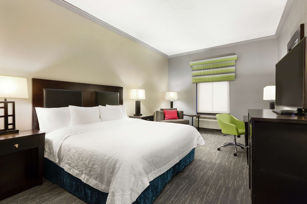 Room, 1 King Bed, Accessible, Non Smoking photo 3