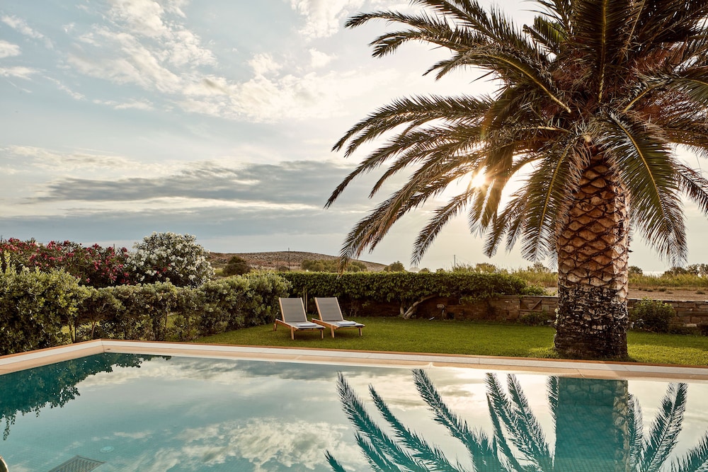 Suite (Pool Experience) - Photo 12