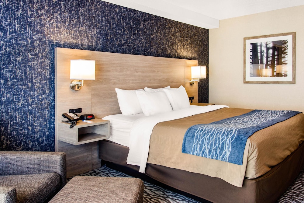 Room, 1 King Bed, Non Smoking (Ground Floor) - Photo 4