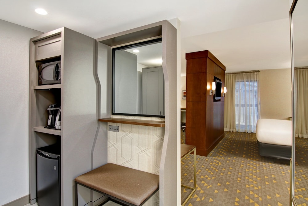 Suite, 1 King Bed with Sofa bed