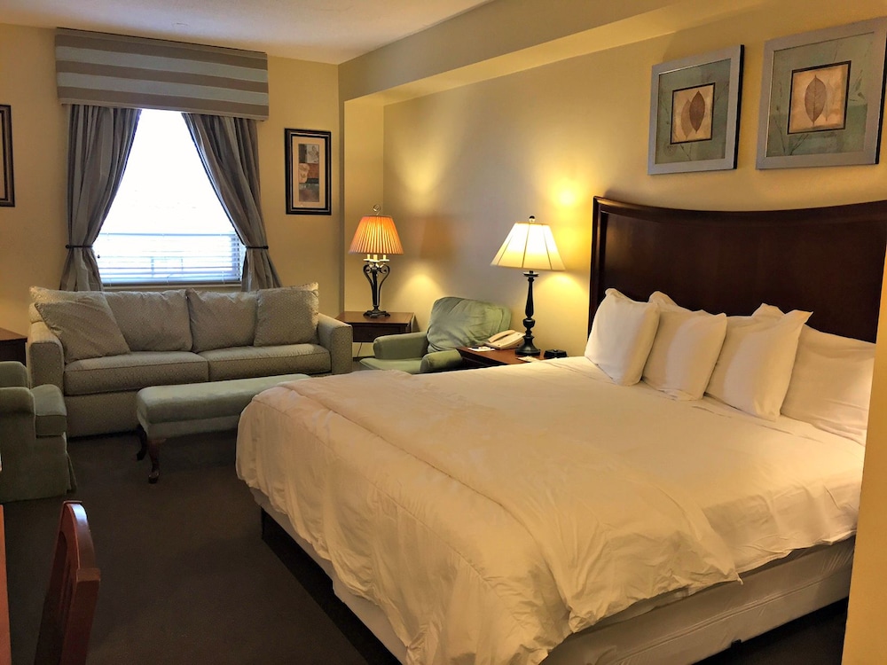 Deluxe Room, 1 King Bed, Non Smoking photo 1