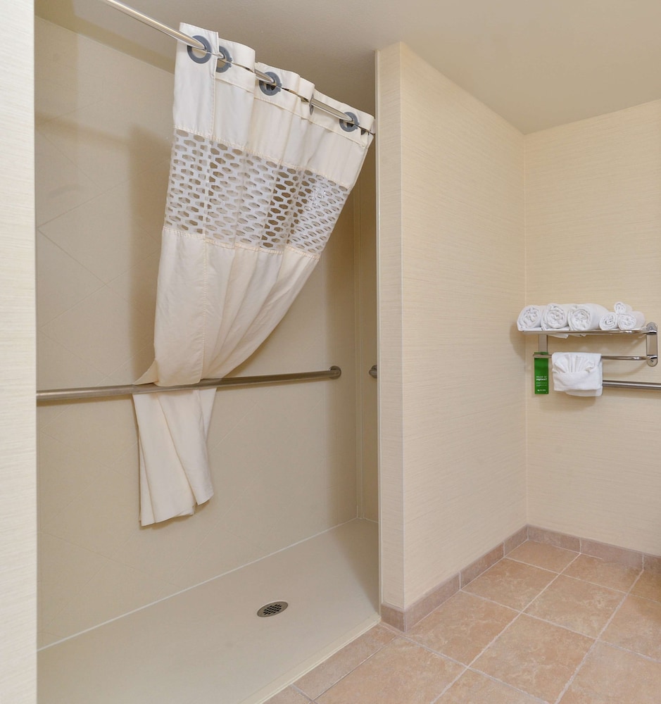 Room, 1 King Bed, Accessible (Mobility & Hearing, Roll-in Shower) - Photo 4