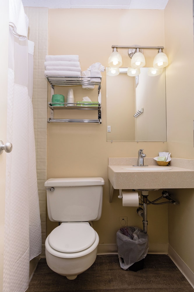 Deluxe Studio, 1 King Bed, Refrigerator & Microwave, Ocean View photo 3