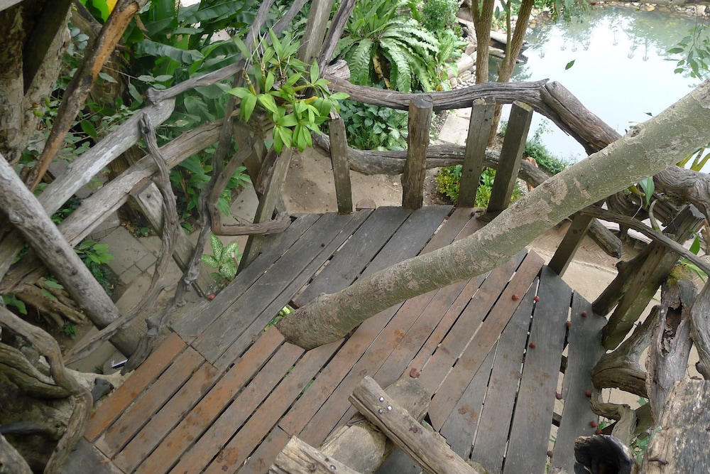 Tree House (Fan, Share bathroom) photo 3