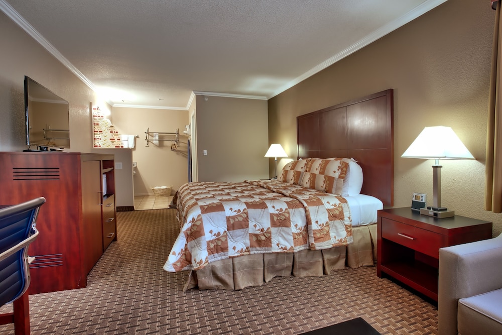 Single Room, 1 King Bed, Ground Floor photo 1