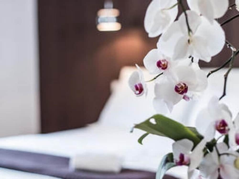 Superior Double Room, 1 Queen Bed photo 3