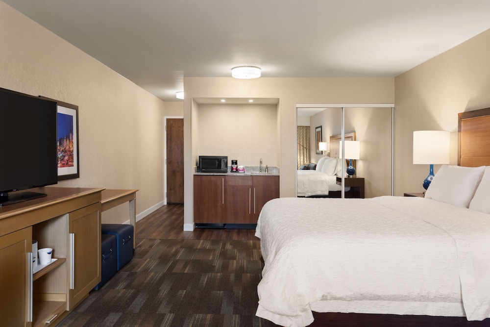 Suite, 1 King Bed, Non Smoking (Mini) photo 1