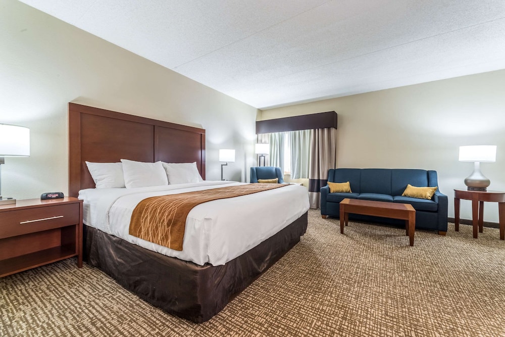 Suite, 1 King Bed with Sofa bed, Non Smoking - Photo 1