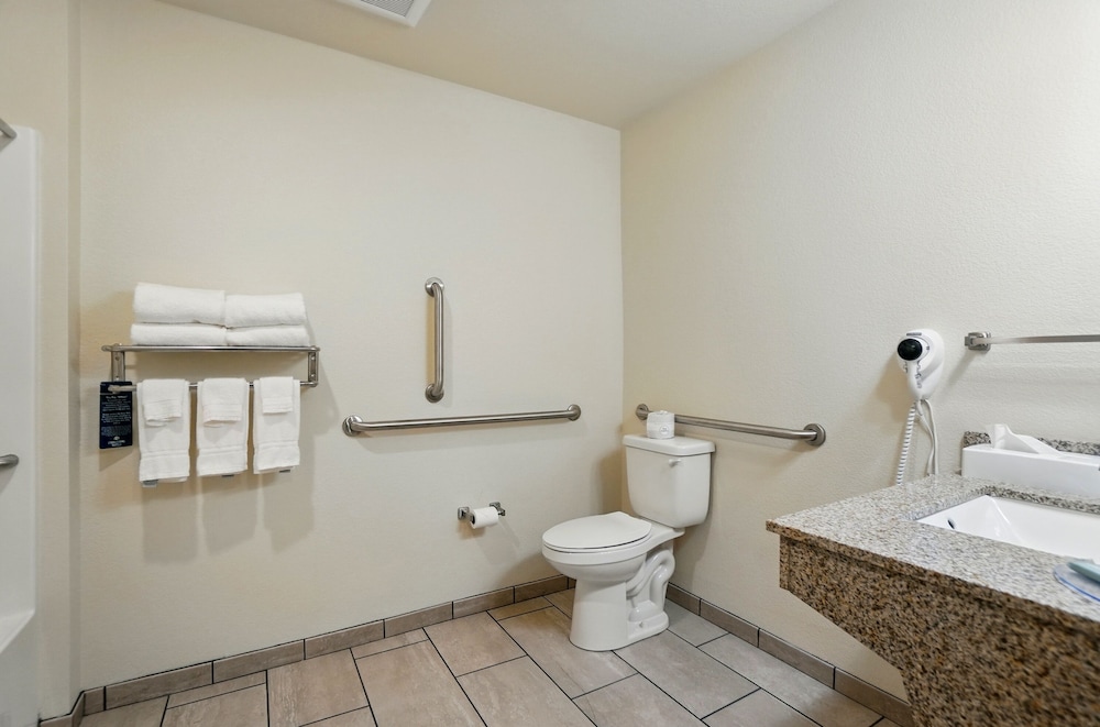 Room, Accessible, Non Smoking (Single King Guestroom) photo 3