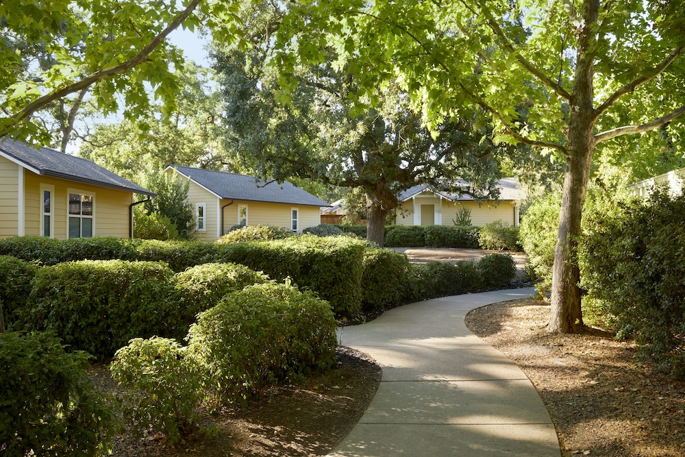 Suite (Orchard) - Photo 9
