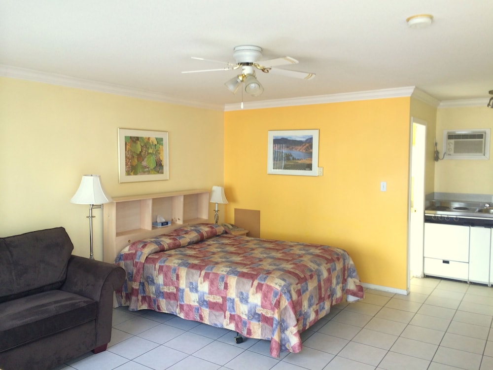 Panoramic Studio, Lake View photo 3
