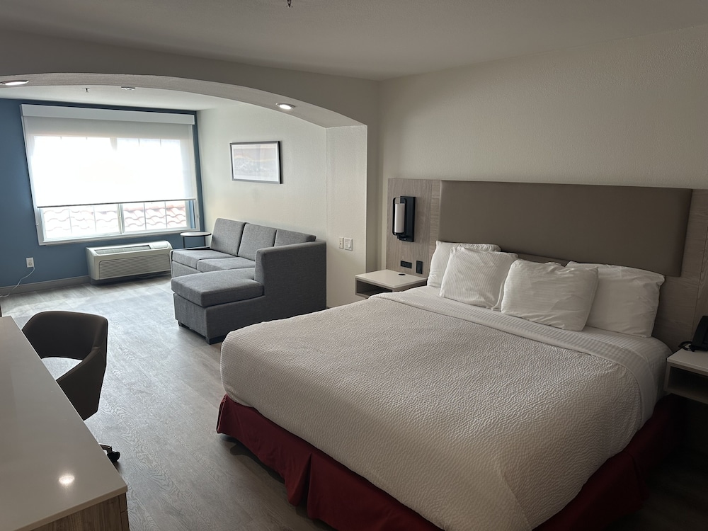 Studio Suite, 1 King Bed, Non Smoking - Photo 4