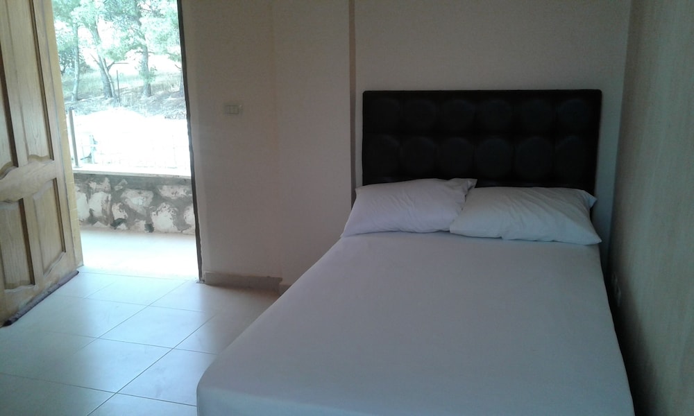 Deer Room, Mountain View photo 1