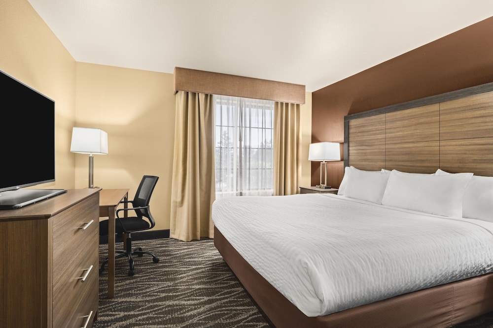 Suite, 1 King Bed photo 2