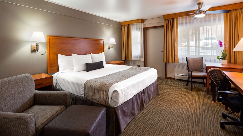 Standard Room, 1 King Bed, Non Smoking, Refrigerator & Microwave (Pet Friendly) photo 3