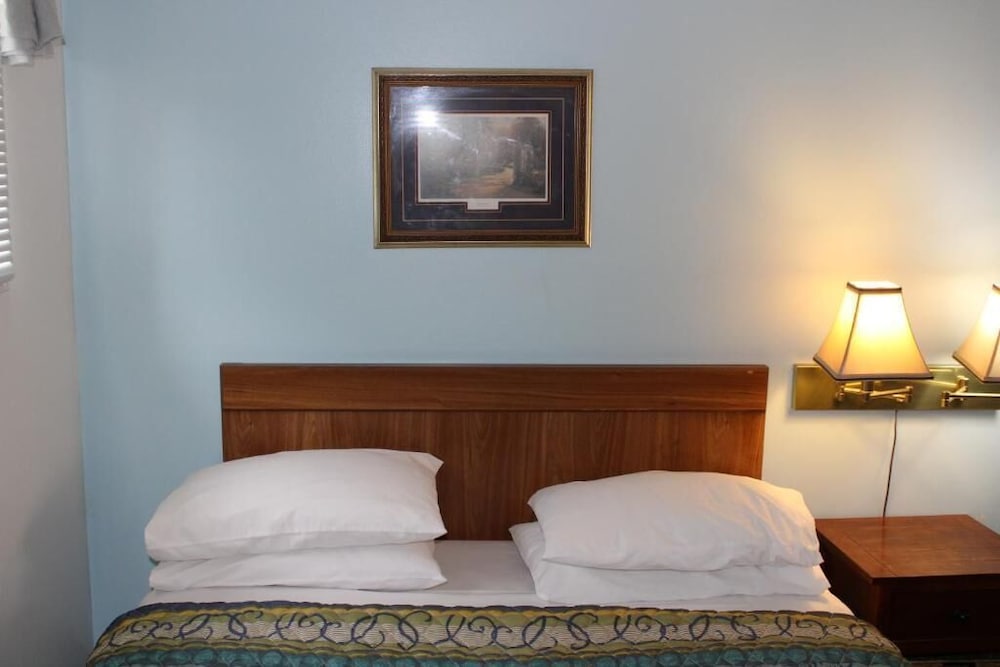 Basic Single Room photo 1