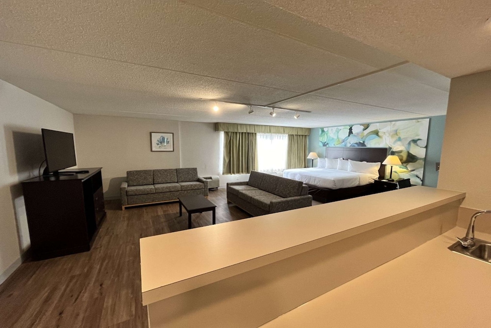 Suite, 1 King Bed with Sofa bed - Photo 4