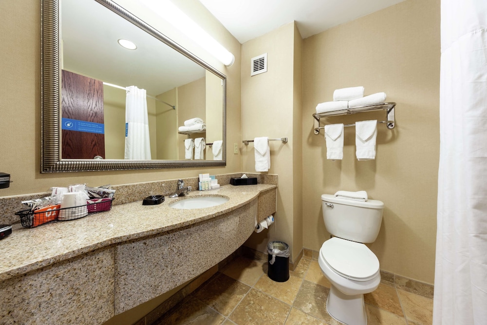 Room, 1 King Bed, Accessible, Bathtub - Photo 8
