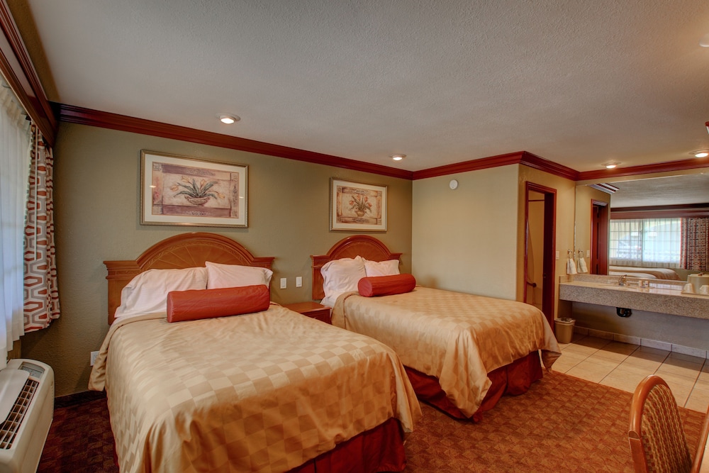 Superior Double Room, 2 Double Beds photo 2
