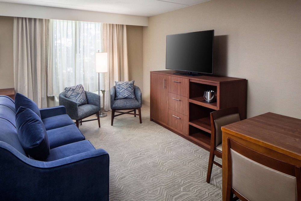Suite, 1 King Bed - Photo 4